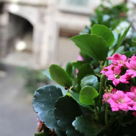 Penzion Maria Neapol